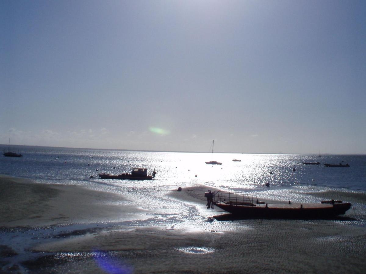La Cabane Du Truquet Lège-Cap-Ferret Dış mekan fotoğraf