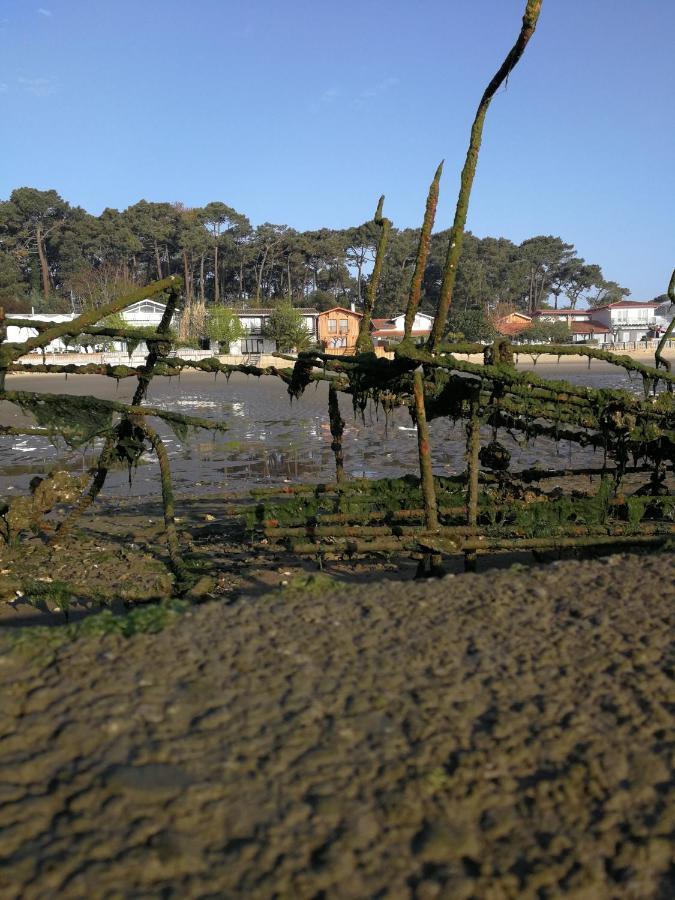La Cabane Du Truquet Lège-Cap-Ferret Dış mekan fotoğraf