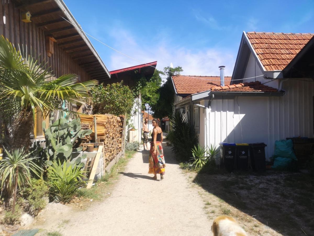 La Cabane Du Truquet Lège-Cap-Ferret Dış mekan fotoğraf