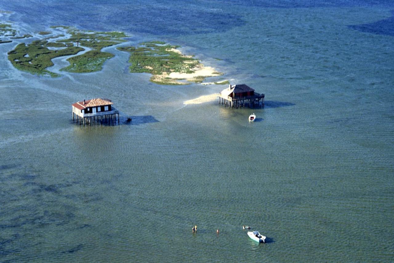 La Cabane Du Truquet Lège-Cap-Ferret Dış mekan fotoğraf